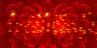 红色大气喜庆年会会议花卉校园文化艺术节背景模板